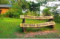 निकुञ्जमा पोखरी निर्माण र मर्मत