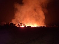 जलनमा परेका अठार वर्षमुनिका बालबालिकालाई निःशुल्क उपचार गरिने