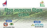 कुमारी बैंकद्धारा ईलाममा वृक्षारोपण कार्यक्रम