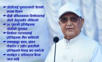 ज्ञवालीको प्रतिवेदनमा ओलीको ‘बखान’ 