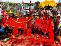 फागुनमा पाथीभरामा ३१ लाखभन्दा बढी भेटी संकलन