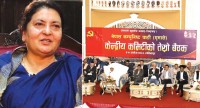 पूर्वराष्ट्रपति भण्डारी एमालेको वरिष्ठ नेतामा चयन