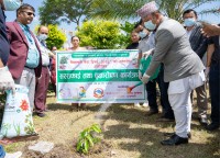 निजामती सेवा दिवसमा वृक्षरोपण
