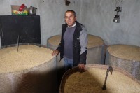 एक सय २० मुरी धान फलाउने ध्रुव