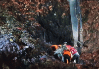 इन्डोनेसियामा फोहोर डम्पिङ स्थलमा पहिरो, ४ जनाको मृत्यु