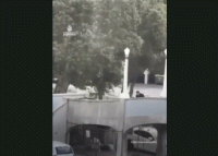 अष्ट्रेलियाको बोन्डी समुद्र तटमा भएको गोली हानाहानमा १६ जनाको मृत्यु, ४० घाइते