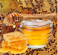 ‘दोस्रो प्रादेशिक मह महोत्सव’ भोलिदेखि