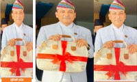 लुम्बिनीको बजेटको विशेषता