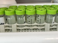 नर्वेली दूध कम्पनीले ‘एन्टिमिथेन’ पदार्थको प्रयोग स्थगित गर्ने