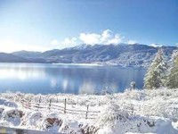 शीतलहरबाट आठ हजार परिवार प्रभावित हुने