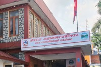 सिप्लिकान र चिउरीका बिरुवा अनुदानमा वितरण गर्दै महानगर