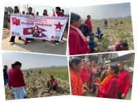 रेनु दाहालको थारु गाउँ वस्तीहरू घरदैलो,स्थानीयवासीमा उत्साह