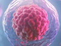 पहिलो पटक स्टिम-सेल थेरापीबाट टाइप १ मधुमेहकाे उपचारमा ऐतिहासिक सफलता