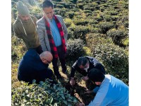 इलाममा सन नेपाल लाइफको हरित  अभियान