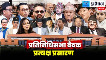 प्रतिनिधि सभा बैठक (लाइभ)