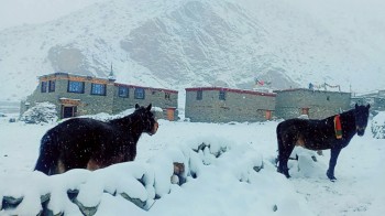 हिमपातका कारण अलपत्र यात्रुको उद्धार