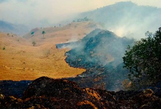 वनमा लागेकाे आगलागी नियन्त्रण बाहिर