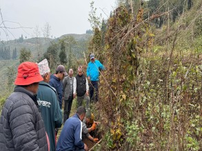 अन्न नउब्जने भिरालोमा ‘वनतरुल’ खेती