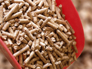 झापामा ‘पेलेट ऊर्जा’ उत्पादन