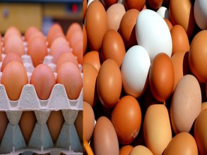 गर्मीसँगै अण्डाको उत्पादन घट्याे, मूल्य क्रमश बढ्दै