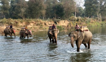 सौराहमा पर्यटकको घुइचो 