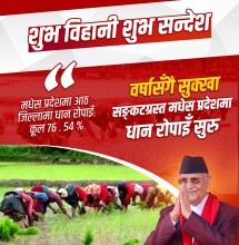 सरकारले तराईमा सिँचाइको स्थायी समाधान खोज्दै