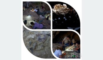 गाड्ने संस्कारको उत्पत्तिको बारेमा एक इजरायलको गुफा चिहान फेला
