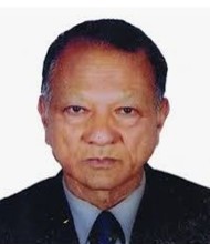 वनको अवस्था र अर्थतन्त्रमा योगदान