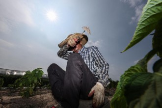 दक्षिण कोरियामा तातो लहरले श्रमिकको स्वास्थ्यमा समस्या