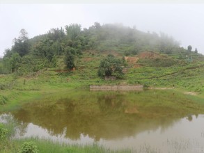 पर्यटन प्रवर्द्धनको पर्खाइमा होङ्मा पोखरी