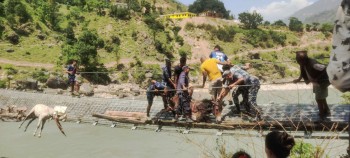 कर्णालीको झोलुङ्गे पुलबाट खच्चडको उद्धार