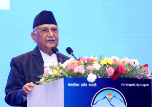 गैरआवासीय नेपाली सङ्घलाई एकताबद्ध, मर्यादित र उद्देश्यकेन्द्रित बनाउन प्रधानमन्त्रीको आग्रह