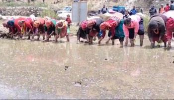 असारे गीतमा झल्किएको कृषि समाज