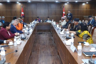 व्यवस्था जोगाउन गणतन्त्रवादी दलहरु एक ढिक्का