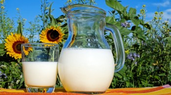 भारतीय दूध भित्रिदा नेपाली किसान समस्यामा