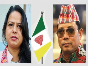 नयाँ दलमा पारिवारिक झमेला