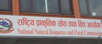 आन्तरिक ऋणको सीमा सिफारिस