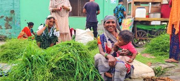 नेपालगन्ज सहरः टाँगा  चल्न छाड्यो, घाँस पनि बिक्री हुन छाड्यो