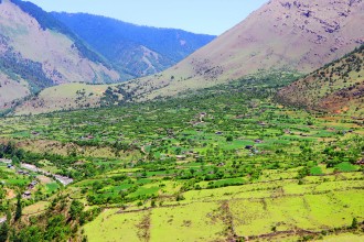 सास्तीमा छन् निसेलढोरवासी