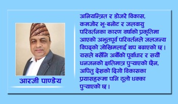 भोटेकोशी विपद्, राज्यको अबको दायित्व
