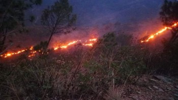 दक्षिणकालीको वनमा डढेलो
