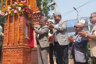 शताब्दीपुरुष जोशीको सालिक अनावरण