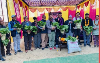 अतिथिलाई उपहार: चोयाको डोकोमा रायोको साग