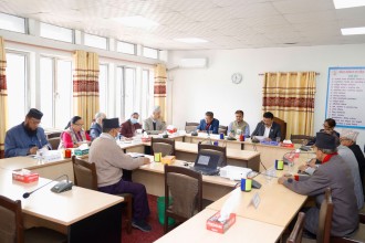 बलियो सरकार, कमजोर संसदीय समिति