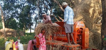 धान दाइँमा आधुनिक थ्रेसरको प्रयोग बढ्दै