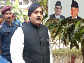आलमलाई उन्मुक्ति दिएका दुई न्यायाधीश तानिए छानबिनमा