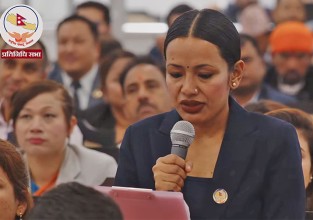 नेपाल भारत सीमामा आवश्यक परे पर्खाल वा काँडेतार लगाउन सरकारलाई सांसद तामाङकाे आग्रह