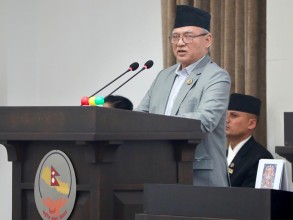 बलिदानीपूर्ण इतिहास सम्झिएर काम गर्न एमाले नेता थापाको आग्रह
