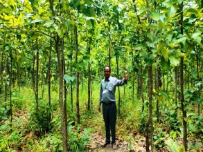 वन संरक्षणसँगै हराएका वन्यजन्तु फिर्ता आउन थाले