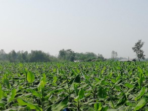 ‘स्वदेशमै आत्मनिर्भर बन्न सकिन्छ’